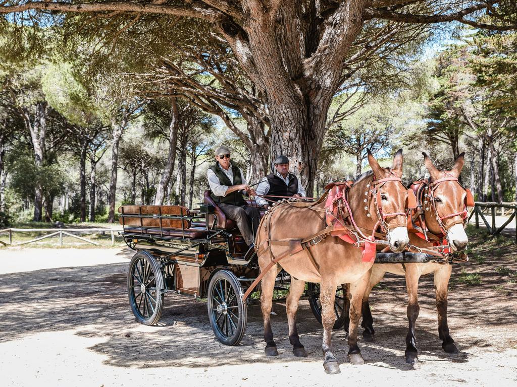 ロス・カーニョス・デ・メカ Casa Rural Aldea Chicaヴィラ エクステリア 写真