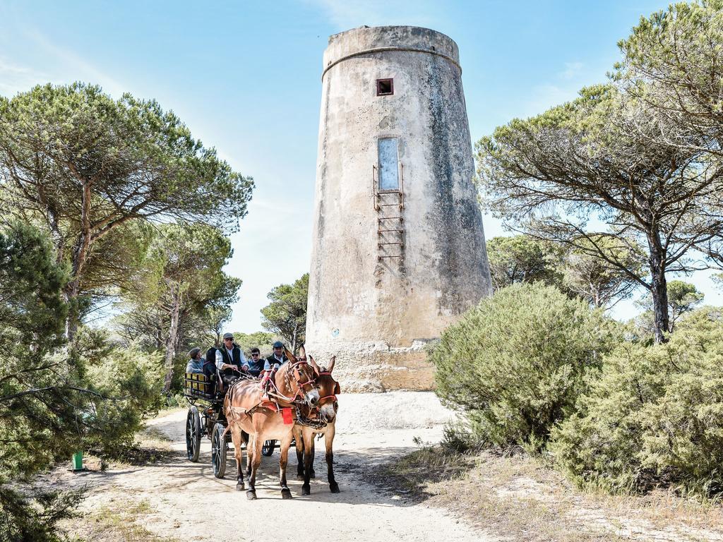 ロス・カーニョス・デ・メカ Casa Rural Aldea Chicaヴィラ エクステリア 写真