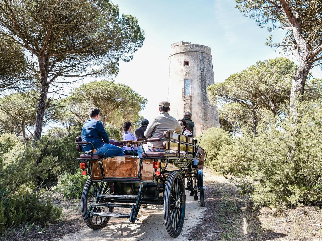 ロス・カーニョス・デ・メカ Casa Rural Aldea Chicaヴィラ エクステリア 写真