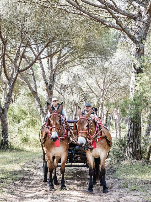 ロス・カーニョス・デ・メカ Casa Rural Aldea Chicaヴィラ エクステリア 写真